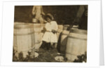 Mary Christmas, only 3, made to pick cranberries spilt at the barrels by her grandfather, Week's Bog, Falmouth, Massachusetts, 1911 by Lewis Wickes Hine