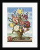Bouquet of Flowers on a Ledge, 1619 by Ambrosius the Elder Bosschaert