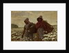 The Cotton Pickers, 1876 by Winslow Homer