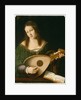 Lady Playing a Lute, c.1530 by Veneto Bartolomeo