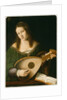 Lady Playing a Lute, c.1530 by Veneto Bartolomeo
