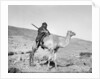 Bedouin riding a camel, c.1936 by Anonymous
