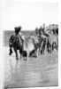 Camels fording a stream in the Valley of Elah, 1900-20 by Anonymous