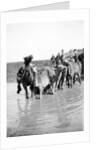 Camels fording a stream in the Valley of Elah, 1900-20 by Anonymous