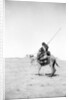 Bedouin warrior making his camel kneel, 1900-20 by Anonymous