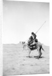 Bedouin warrior making his camel kneel, 1900-20 by Anonymous