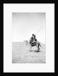 Bedouin warrior making his camel kneel, 1900-20 by Anonymous