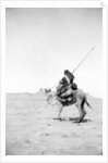 Bedouin warrior making his camel kneel, 1900-20 by Anonymous