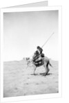 Bedouin warrior making his camel kneel, 1900-20 by Anonymous