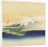 Fuji from the beach at Mio, 1900-10 by Ogata Gekko