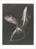 An Angel with a Chain in his hands, 1899 by Odilon Redon
