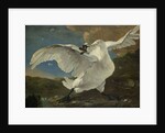 The Threatened Swan, c.1650 by Jan Asselyn