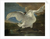 The Threatened Swan, c.1650 by Jan Asselyn