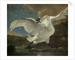 The Threatened Swan, c.1650 by Jan Asselyn