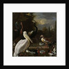 A Pelican and other Birds near a Pool, Known as ‘The Floating Feather’, c.1680 by Melchior de Hondecoeter