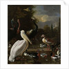 A Pelican and other Birds near a Pool, Known as ‘The Floating Feather’, c.1680 by Melchior de Hondecoeter