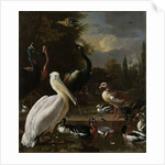 A Pelican and other Birds near a Pool, Known as ‘The Floating Feather’, c.1680 by Melchior de Hondecoeter