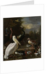 A Pelican and other Birds near a Pool, Known as ‘The Floating Feather’, c.1680 by Melchior de Hondecoeter