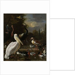 A Pelican and other Birds near a Pool, Known as ‘The Floating Feather’, c.1680 by Melchior de Hondecoeter