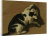 Cat playing by Adriaen van de Velde