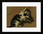 Cat playing by Adriaen van de Velde