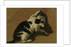 Cat playing by Adriaen van de Velde