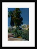 Corner of the Garden, Alcazar, Sevilla, 1910 by Joaquin Sorolla y Bastida