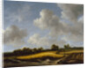 Landscape with a Wheatfield, c.1660 by Jacob Isaaksz. or Isaacksz. van Ruisdael