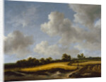 Landscape with a Wheatfield, c.1660 by Jacob Isaaksz. or Isaacksz. van Ruisdael