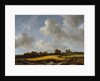 Landscape with a Wheatfield, c.1660 by Jacob Isaaksz. or Isaacksz. van Ruisdael