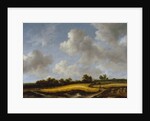 Landscape with a Wheatfield, c.1660 by Jacob Isaaksz. or Isaacksz. van Ruisdael