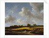 Landscape with a Wheatfield, c.1660 by Jacob Isaaksz. or Isaacksz. van Ruisdael