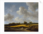 Landscape with a Wheatfield, c.1660 by Jacob Isaaksz. or Isaacksz. van Ruisdael