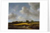 Landscape with a Wheatfield, c.1660 by Jacob Isaaksz. or Isaacksz. van Ruisdael