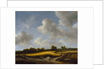 Landscape with a Wheatfield, c.1660 by Jacob Isaaksz. or Isaacksz. van Ruisdael