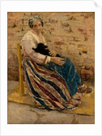 An Old Woman with Cat, 1878 by Max Liebermann
