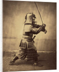 Japanese Warrior in Armour, 1865-7 by Felice Beato