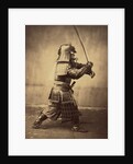Japanese Warrior in Armour, 1865-7 by Felice Beato