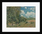 The Road from Versailles to Saint-Germain, 1875 by Alfred Sisley