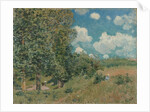 The Road from Versailles to Saint-Germain, 1875 by Alfred Sisley