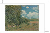 The Road from Versailles to Saint-Germain, 1875 by Alfred Sisley