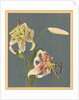 Lilies, 1897 by Kazumasa Ogawa