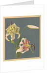 Lilies, 1897 by Kazumasa Ogawa