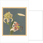 Lilies, 1897 by Kazumasa Ogawa
