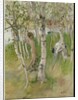 Nude Boy among Birches, 1898 by Carl Larsson
