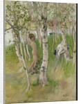 Nude Boy among Birches, 1898 by Carl Larsson