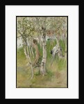 Nude Boy among Birches, 1898 by Carl Larsson