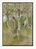 Nude Boy among Birches, 1898 by Carl Larsson