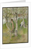 Nude Boy among Birches, 1898 by Carl Larsson