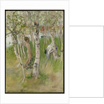 Nude Boy among Birches, 1898 by Carl Larsson